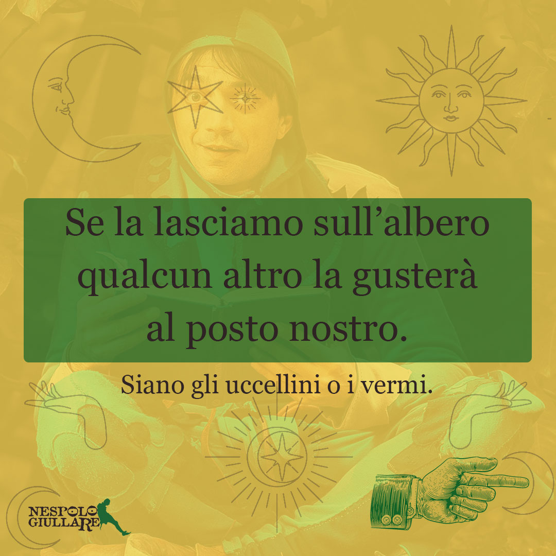 Se la lasciamo sull’albero qualcun altro la gusterà al posto nostro. Siano gli uccellini o i vermi.